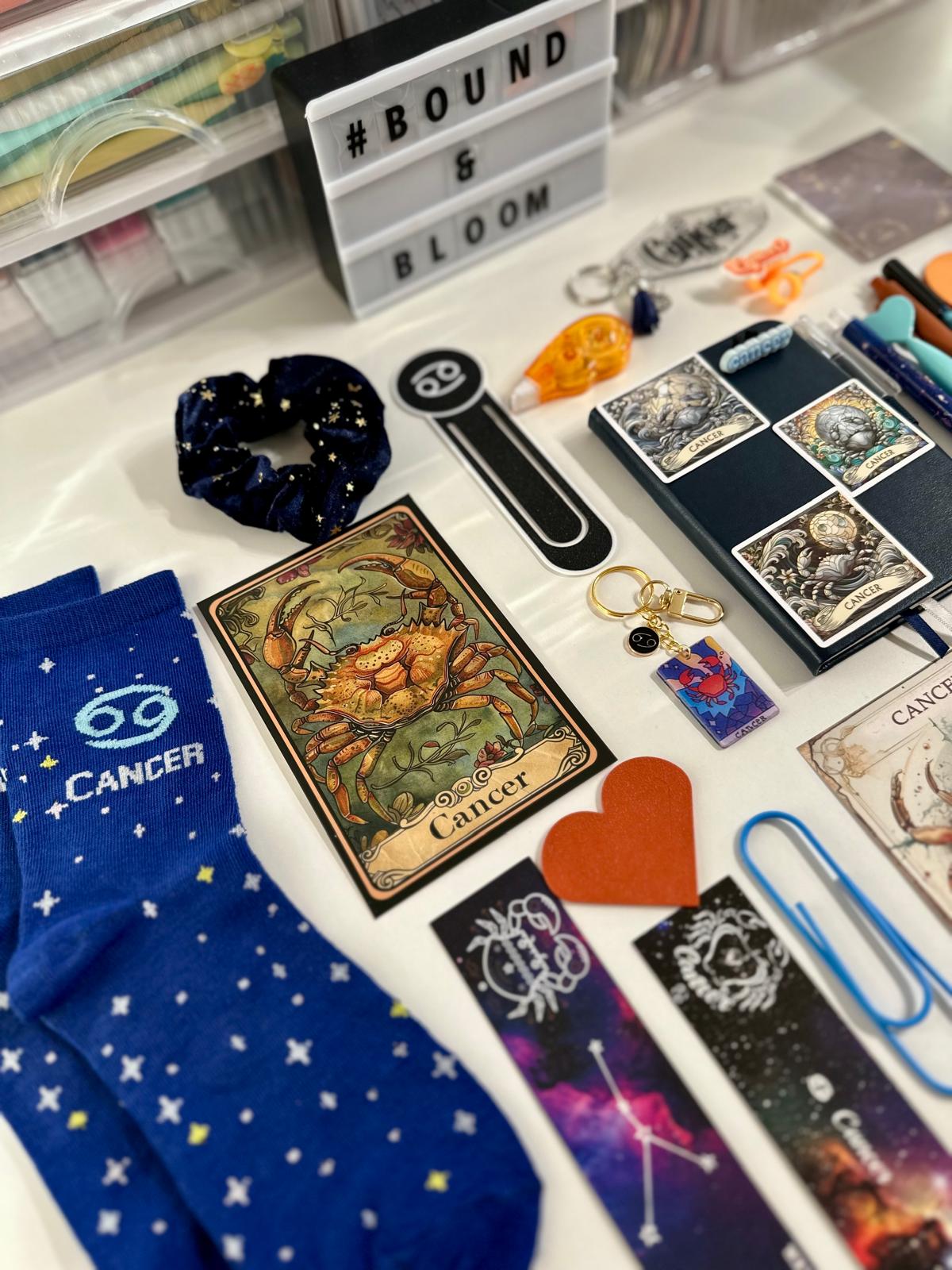 ๐ The Bookish Constellation โ Limited Edition Zodiac Bundle โโโ