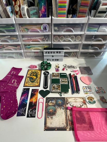 The Bookish Constellation | Limited Edition Zodiac Bookish Bundle