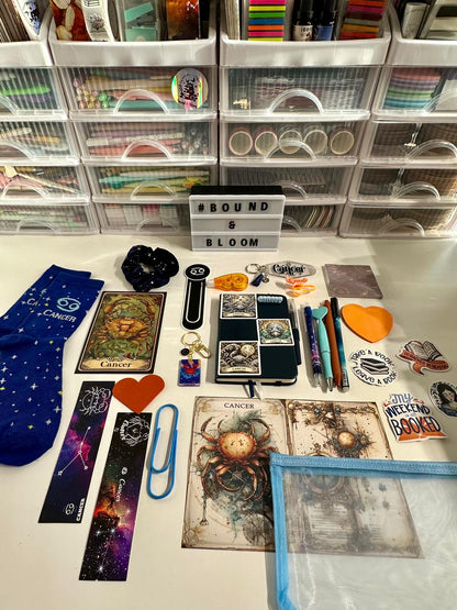 The Bookish Constellation | Limited Edition Zodiac Bookish Bundle
